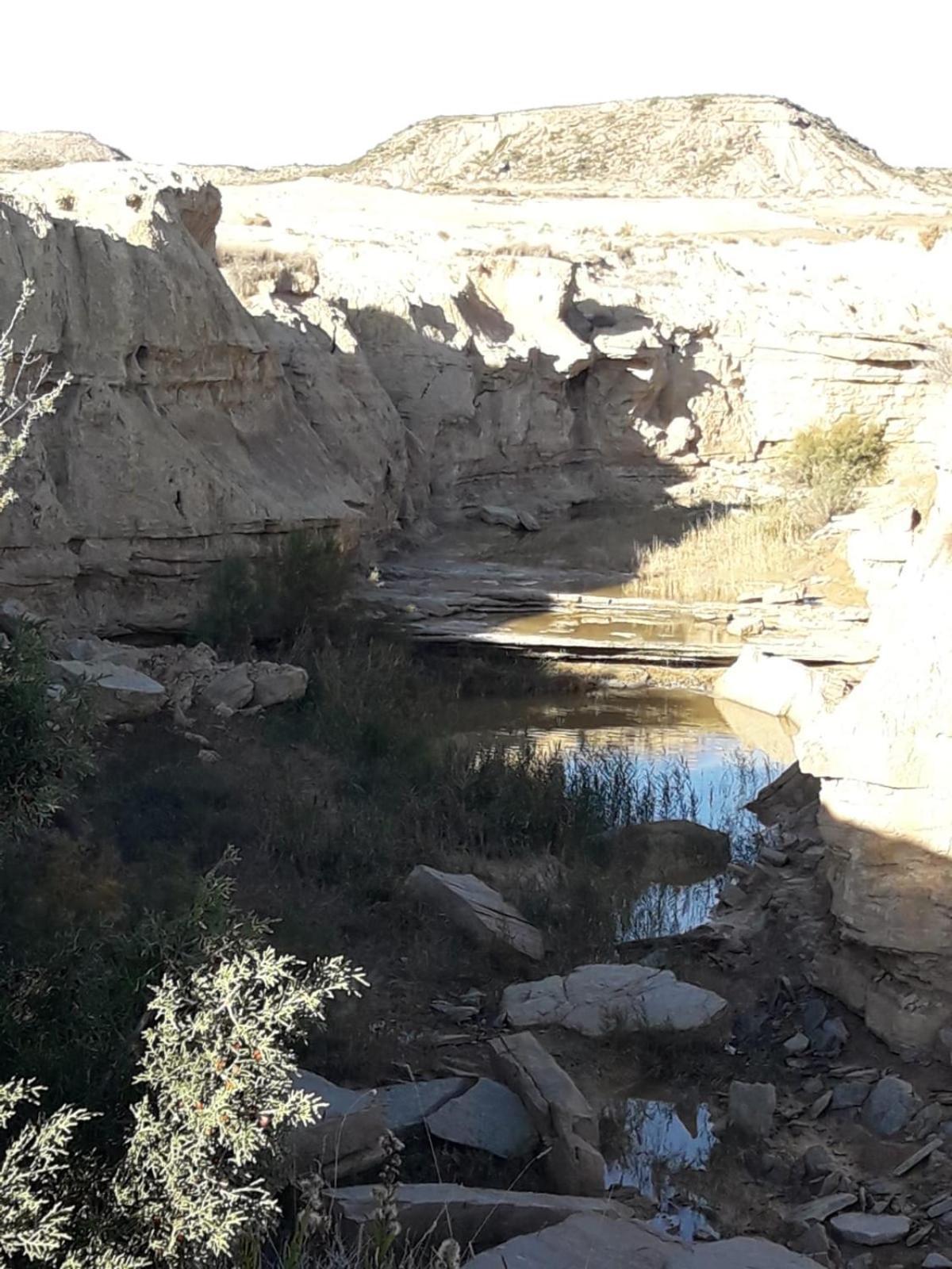 La Manguita Bardenas Villa Arguedas Kültér fotó
